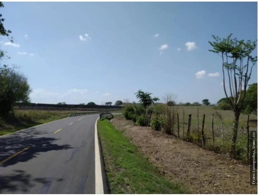 Venta de finca en pesé, herrera