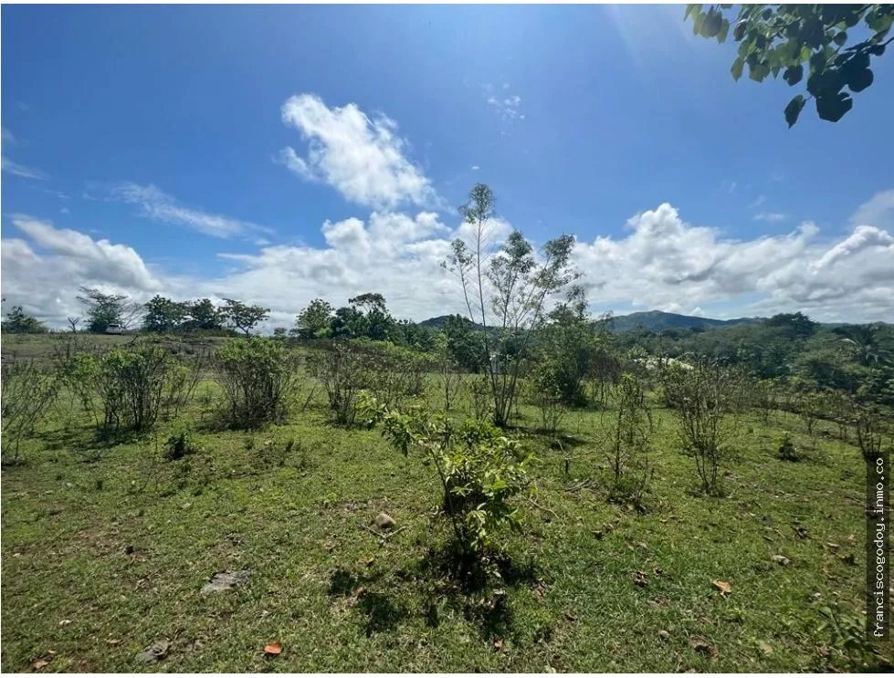 Venta de fincas en coronado