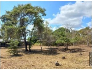 141180 - San carlos - properties - casamar