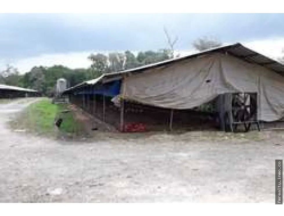 Se vende lote de terreno en colón