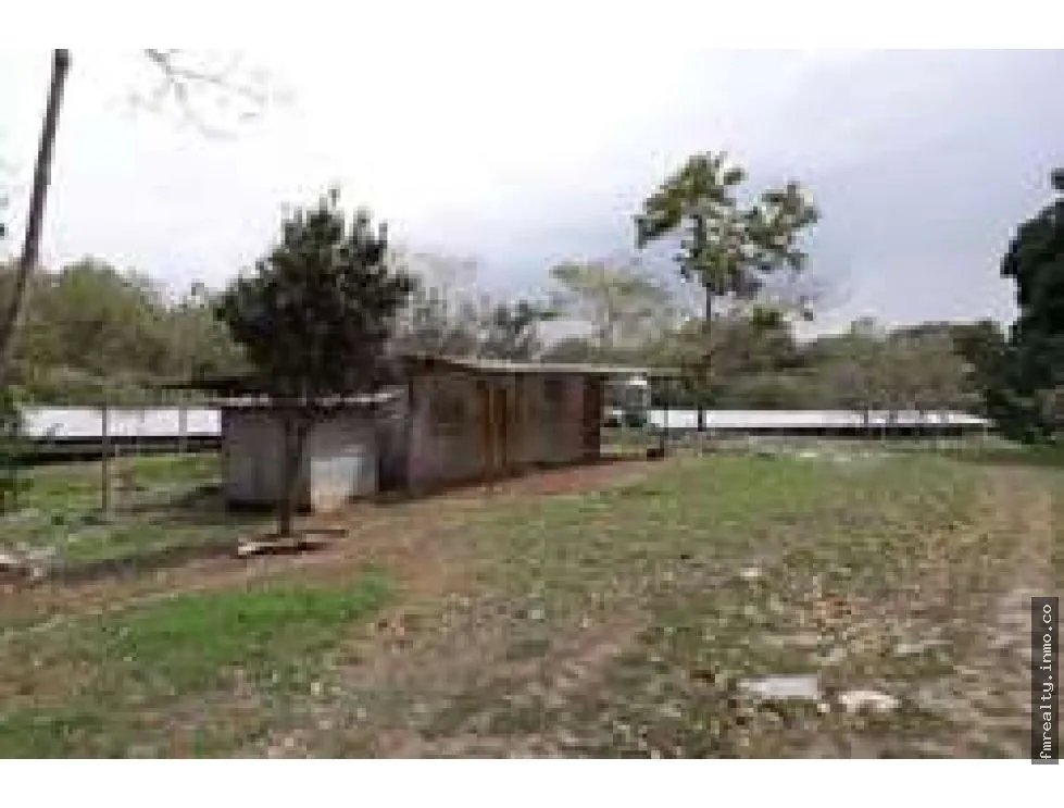 Se vende lote de terreno en colón