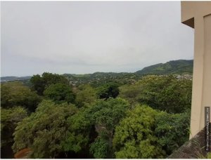 141681 - Las lajas - lots