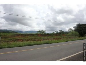 141742 - Panamá - lots - remates judiciales