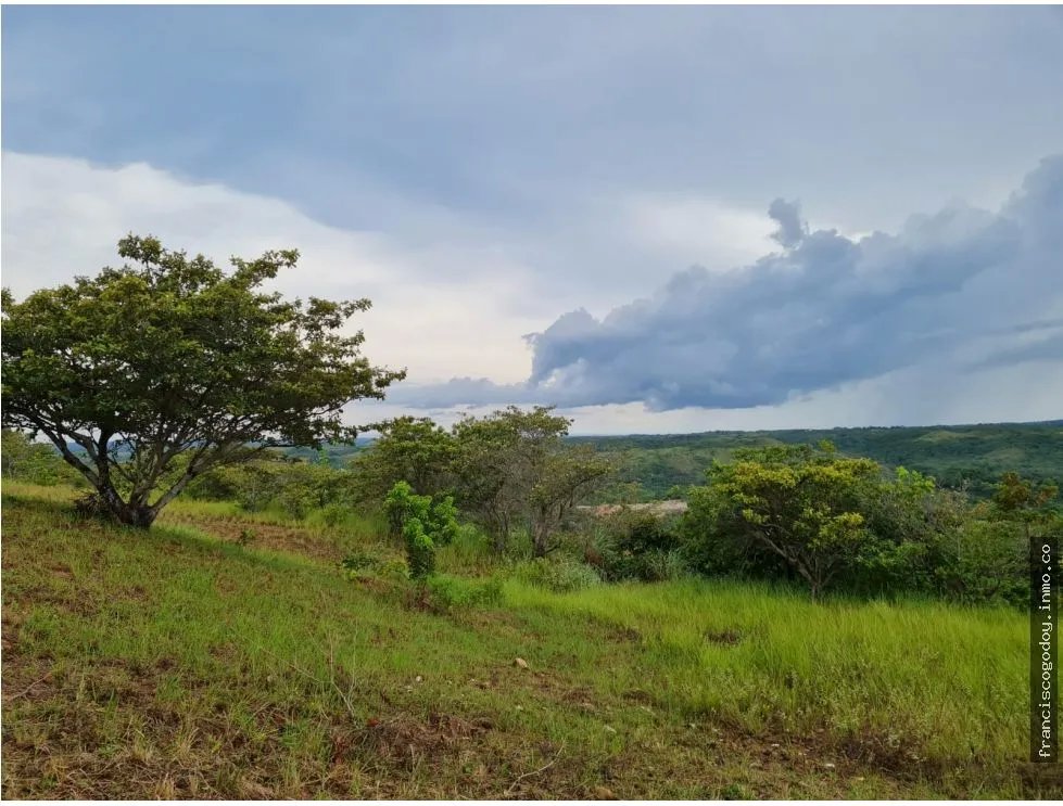 Venta de fincas en coronado
