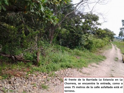 14200 - La Chorrera - lots