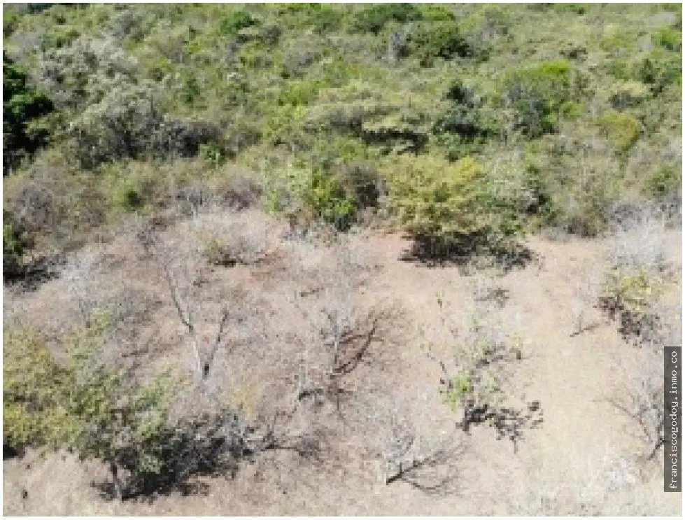 Terreno en venta vía al valle de antón, san carlos