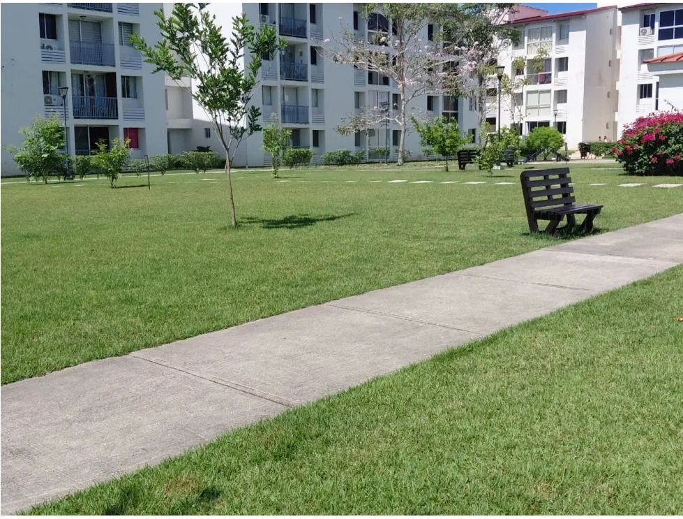 Alquiler de apartamento amoblado en ph olimpia, arraiján
