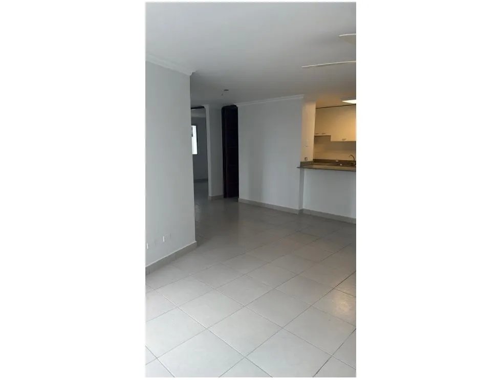 Apartamento en ph central park, torre park  vía transístmica