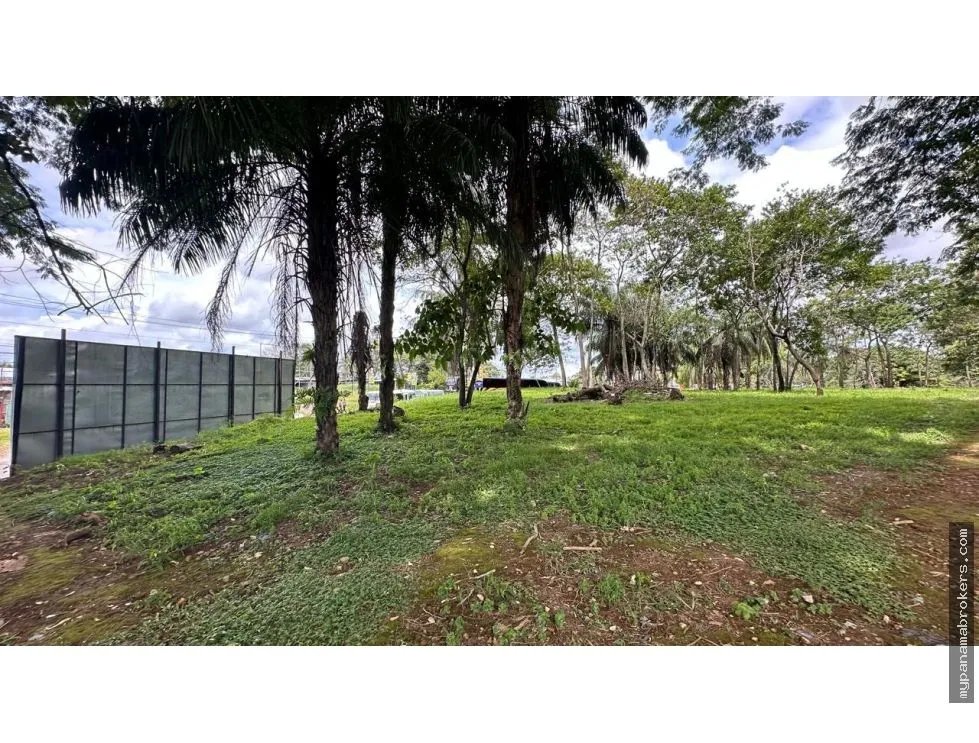 Se vende terreno en david, chiriquí