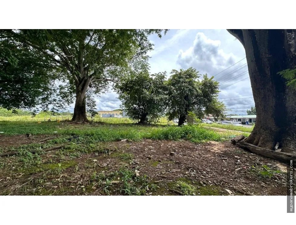 Se vende terreno en david, chiriquí