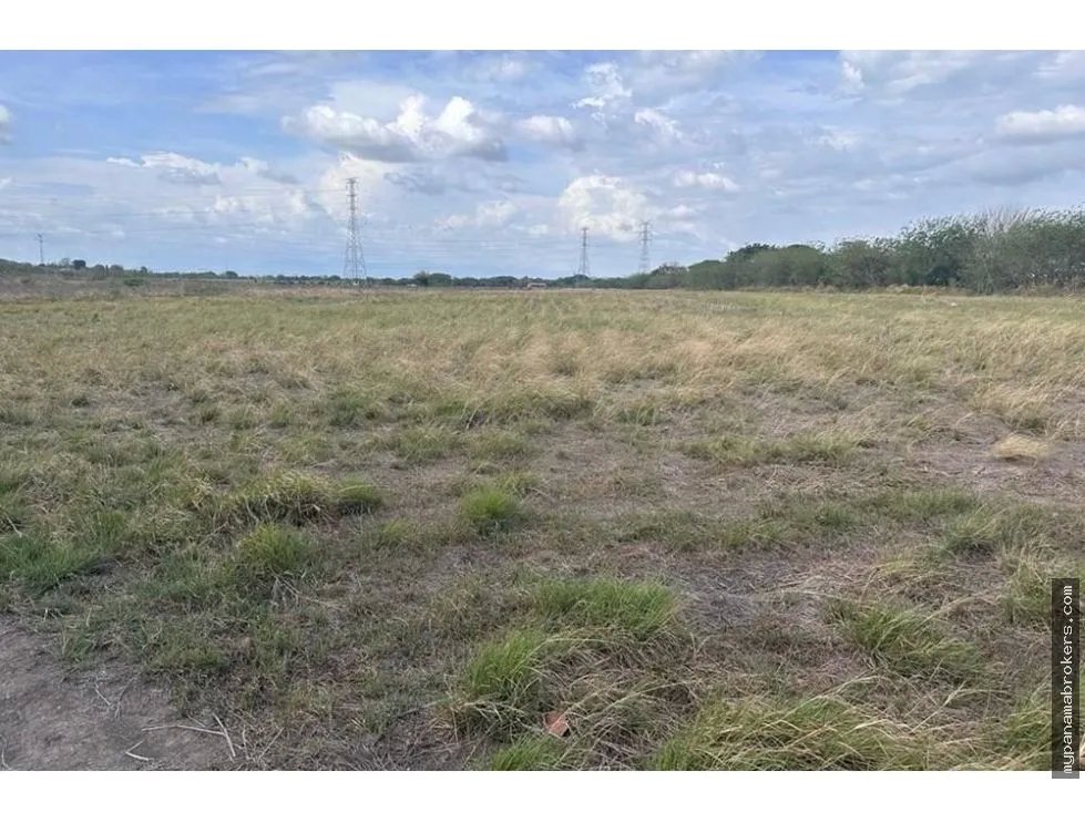 Se vende finca frente a la panamericana en antón, coclé