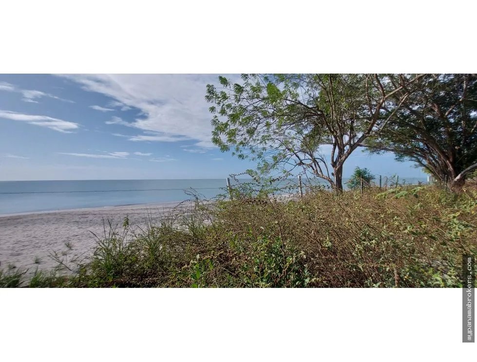Se venden lotes frente al mar en juan hombron, río hato