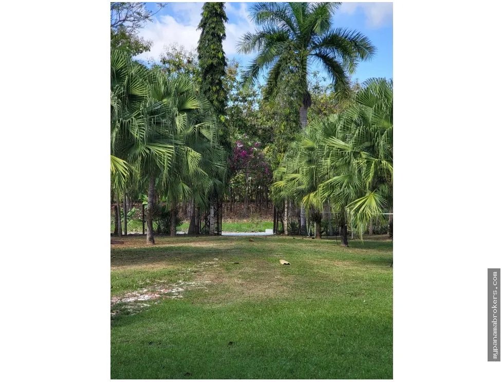 Se vende casa con plantación en nueva gorgona, chame