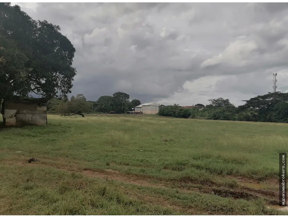 Se vende terreno en chitré