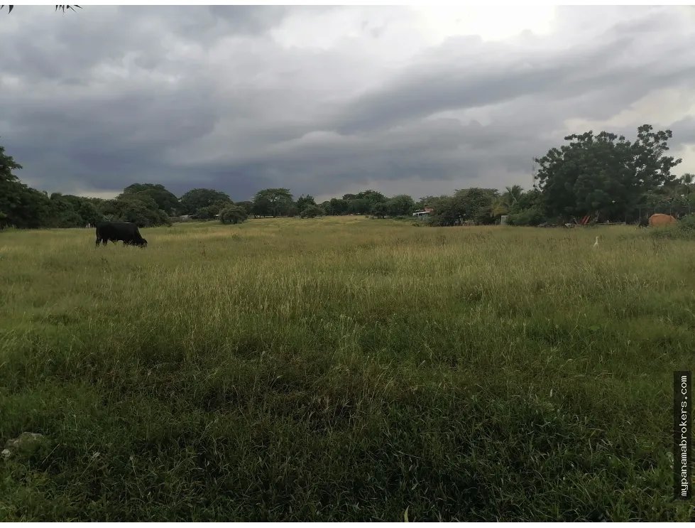 Se vende terreno en chitré