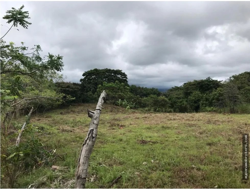 Se vende lote en la florenciana, chame