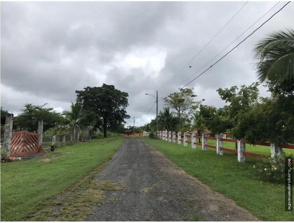 Se vende lote en la florenciana, chame