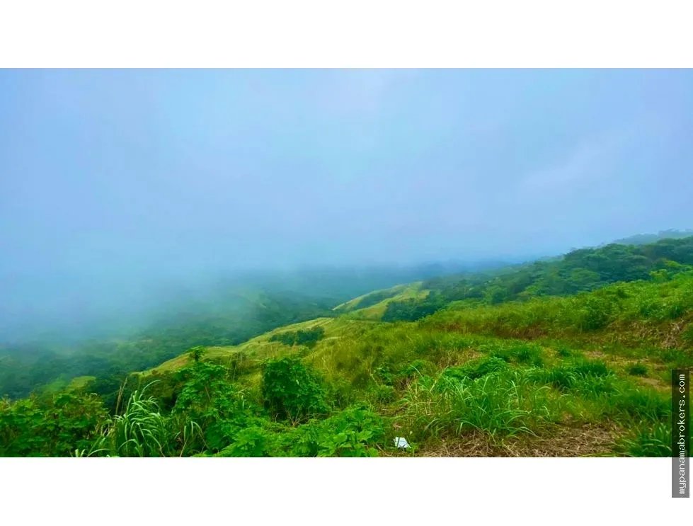 Se venden hectáreas en cerro azul