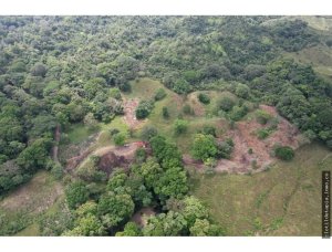 142627 - Colón - properties - mit logistics park