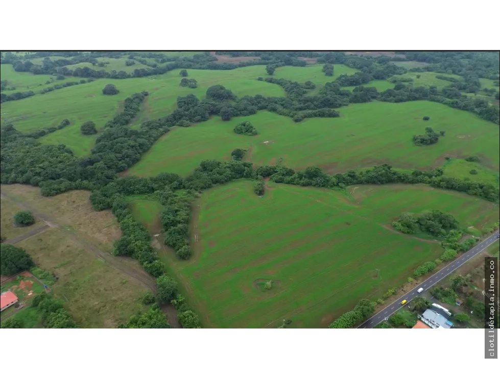 Venta de finca en pedasí, los santos