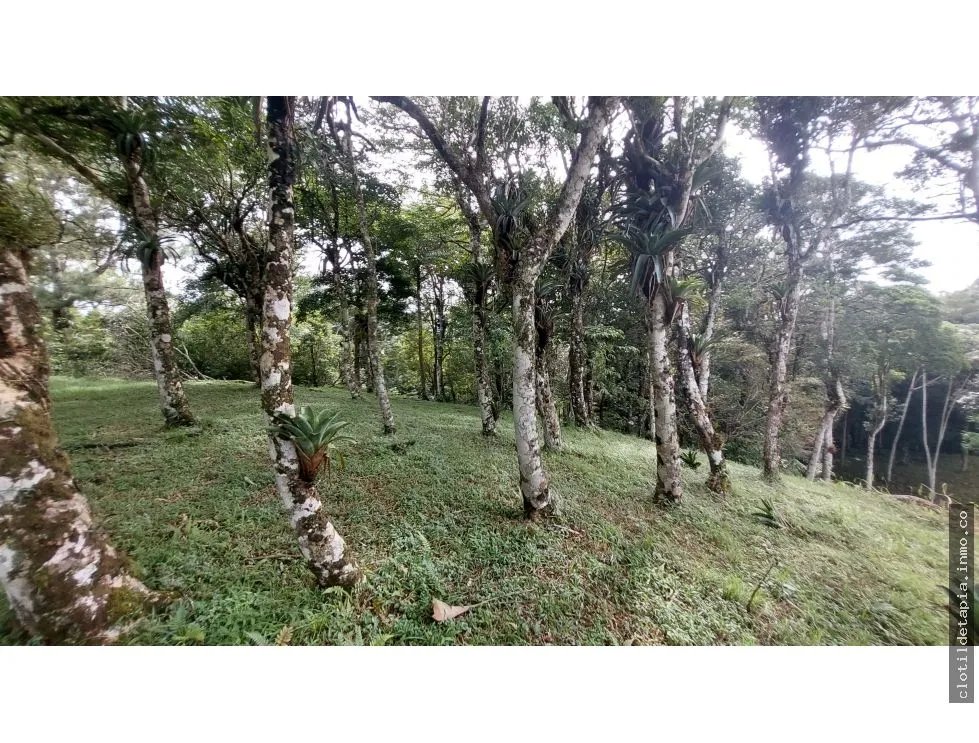 Se vende lote en altos del maría, chame