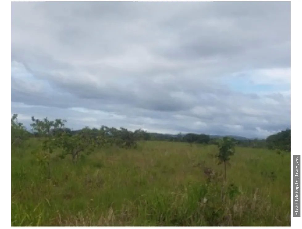 Se venden hectáreas en los pozos antón, coclé