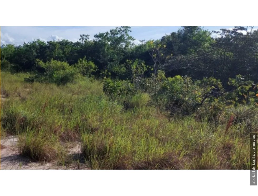 Se venden hectáreas en los pozos antón, coclé