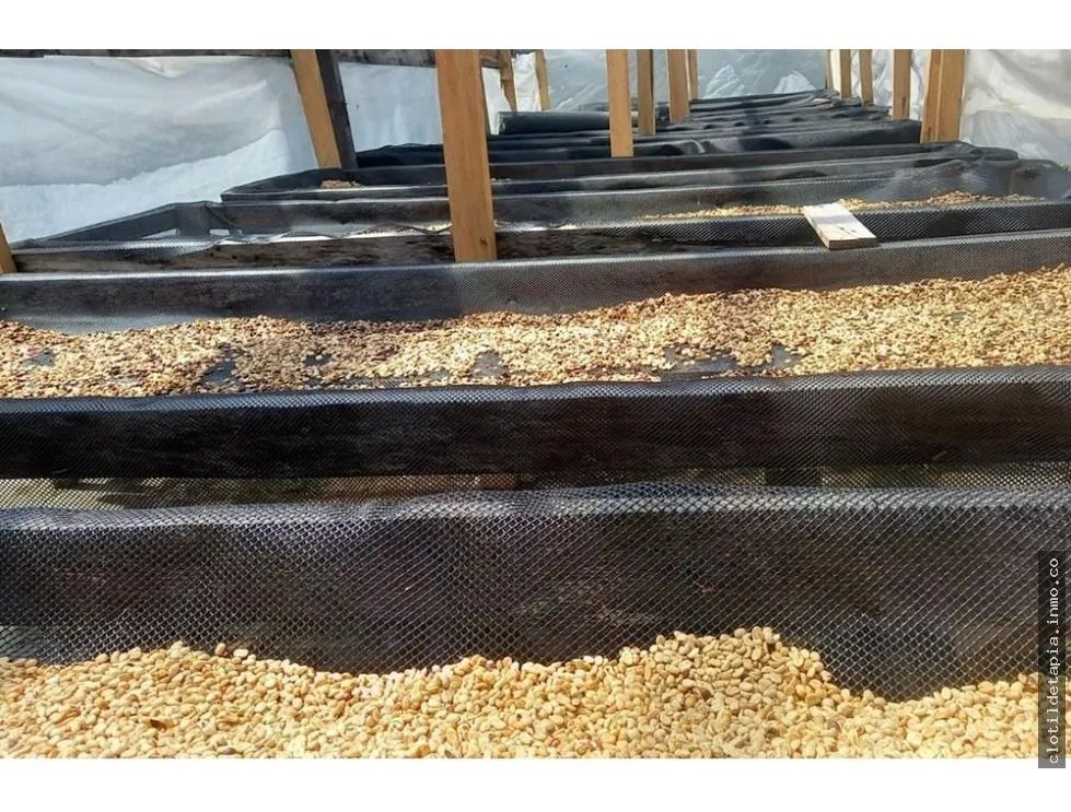 Se vende finca cafetera en alto boquete, chiriquí