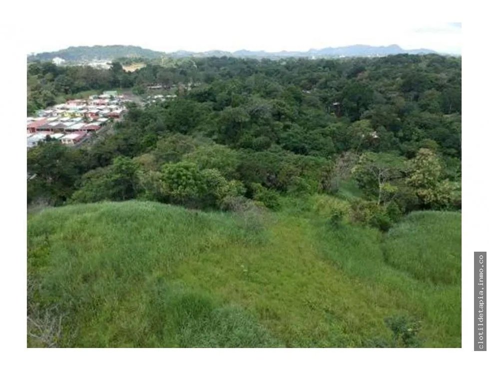 Se vende finca en pedregal, villalobos