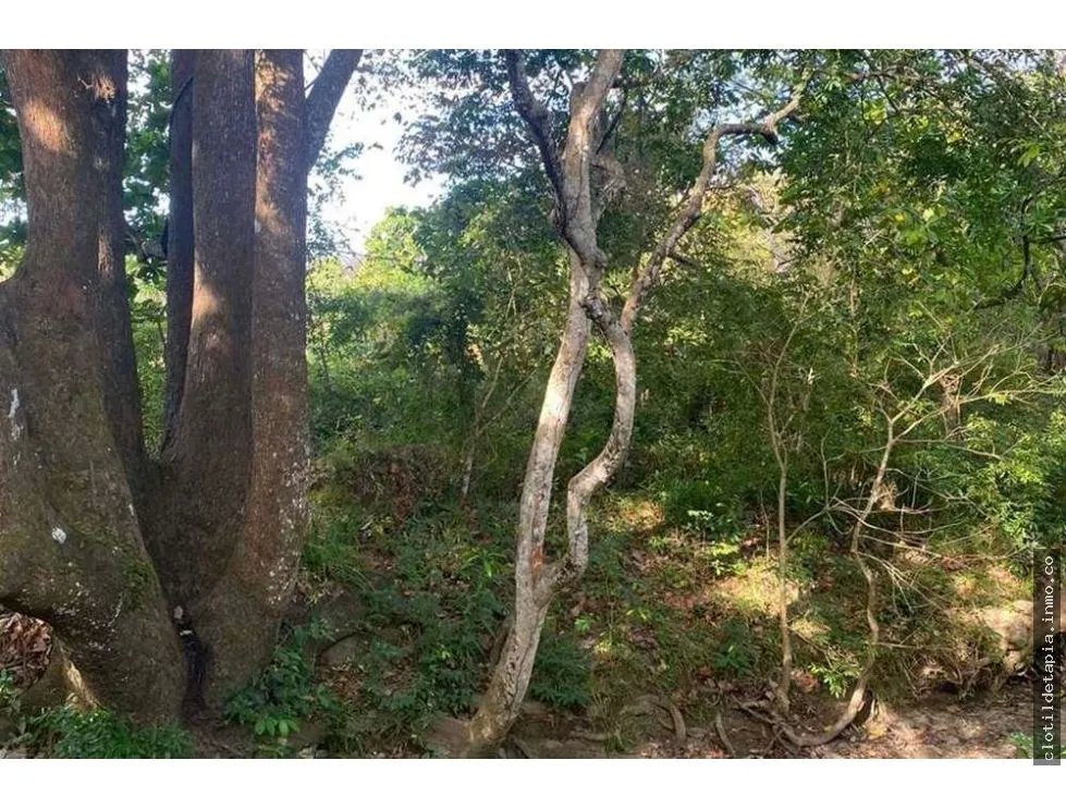 Se vende finca de 12 hectáreas en rodeo viejo, san carlos