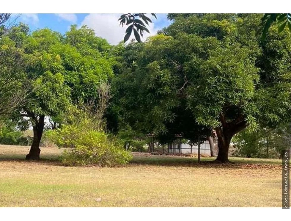Se vende finca de 12 hectáreas en rodeo viejo, san carlos