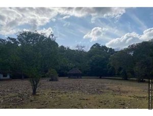 142762 - San carlos - lots - casamar
