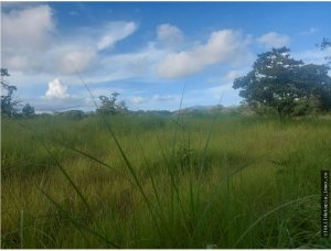 142770 - San carlos - lots - casamar