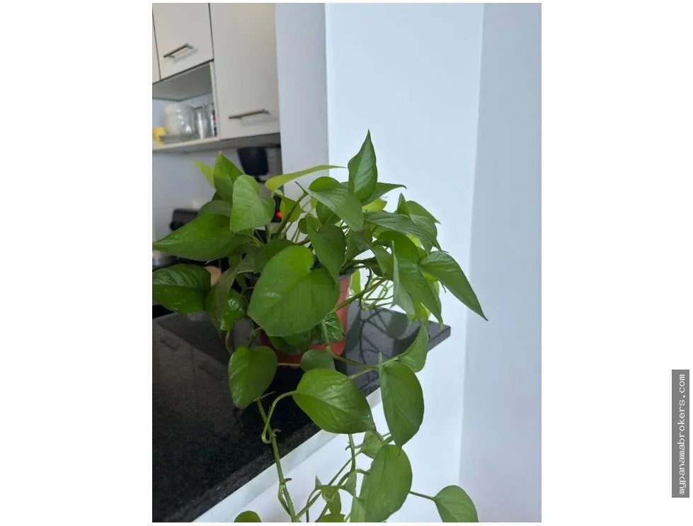 Venta de apartamento vacío en ave. balboa, panamá