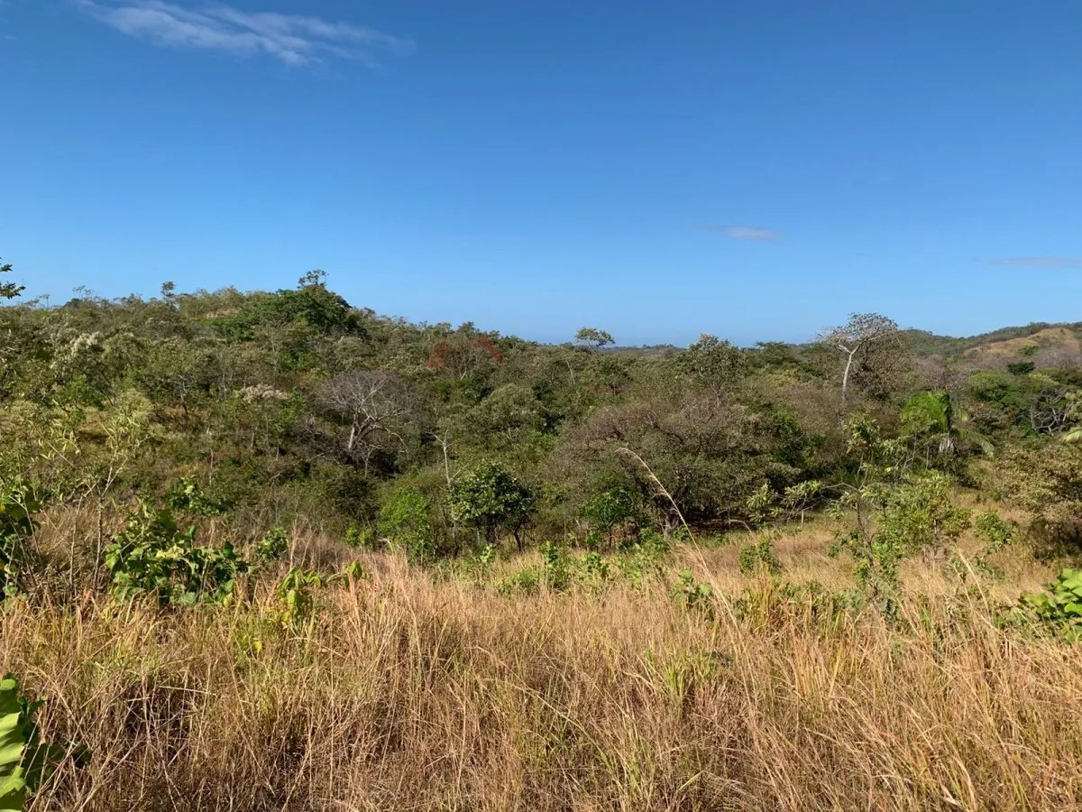 Terreno/Granja en Venta en Santa Catalina