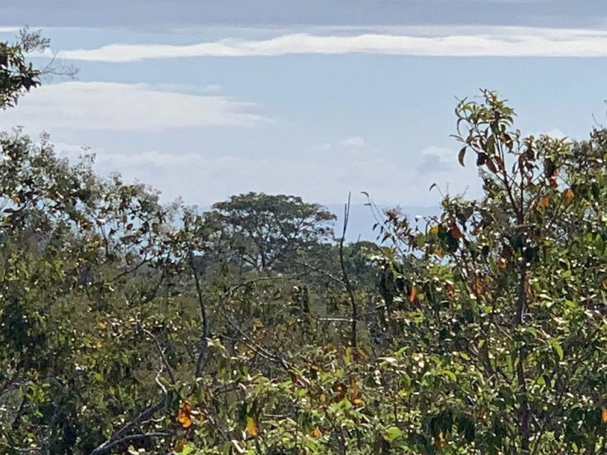 Terreno/Granja en Venta en Santa Catalina