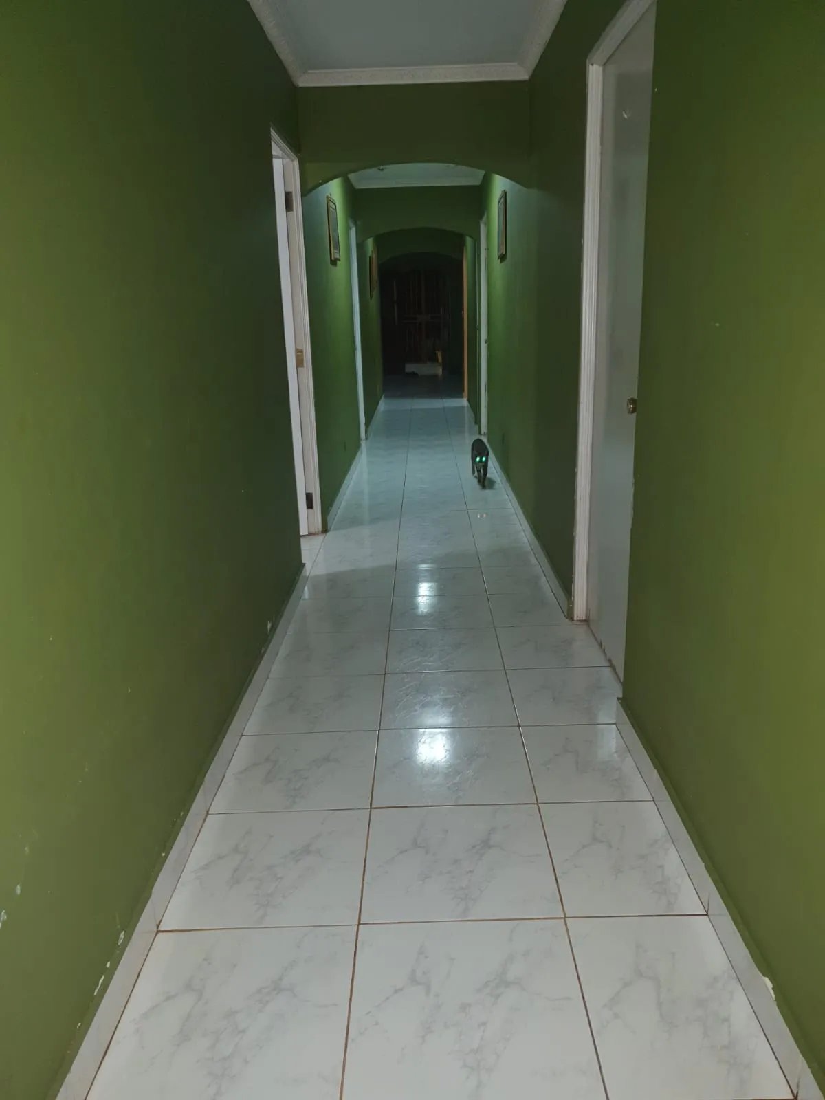 VENDO PROPIEDAD COMERCIAL EL COCO LA CHORRERA