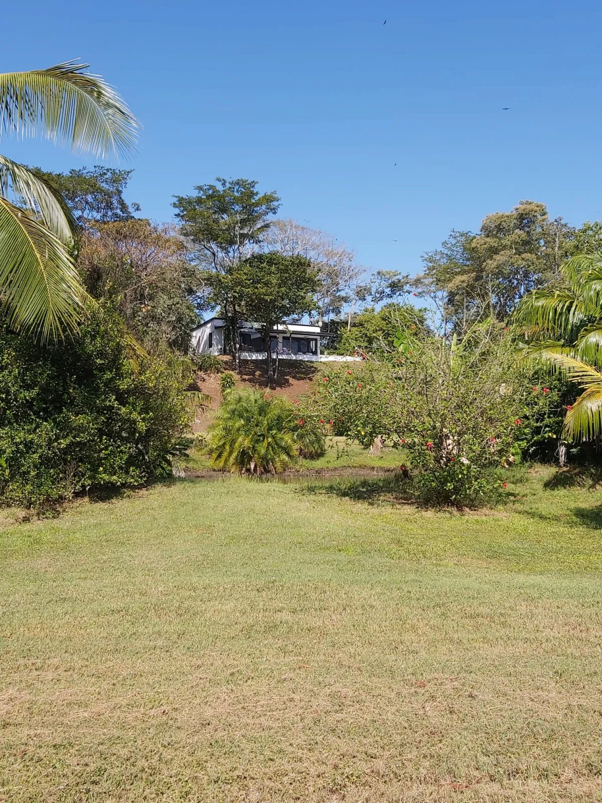 For Sale: 48 titled hectares in San Francisco, Veraguas.