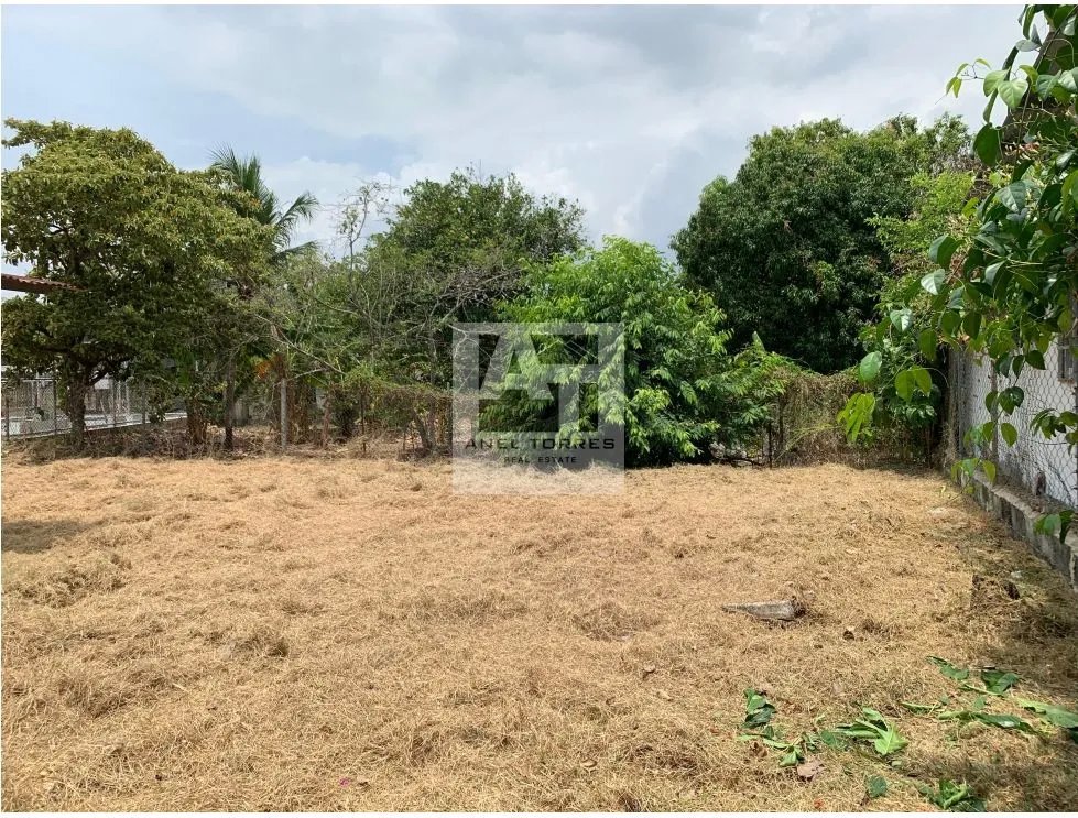 Se Vende Terreno en Victoriano Lorenzo Bejuco.