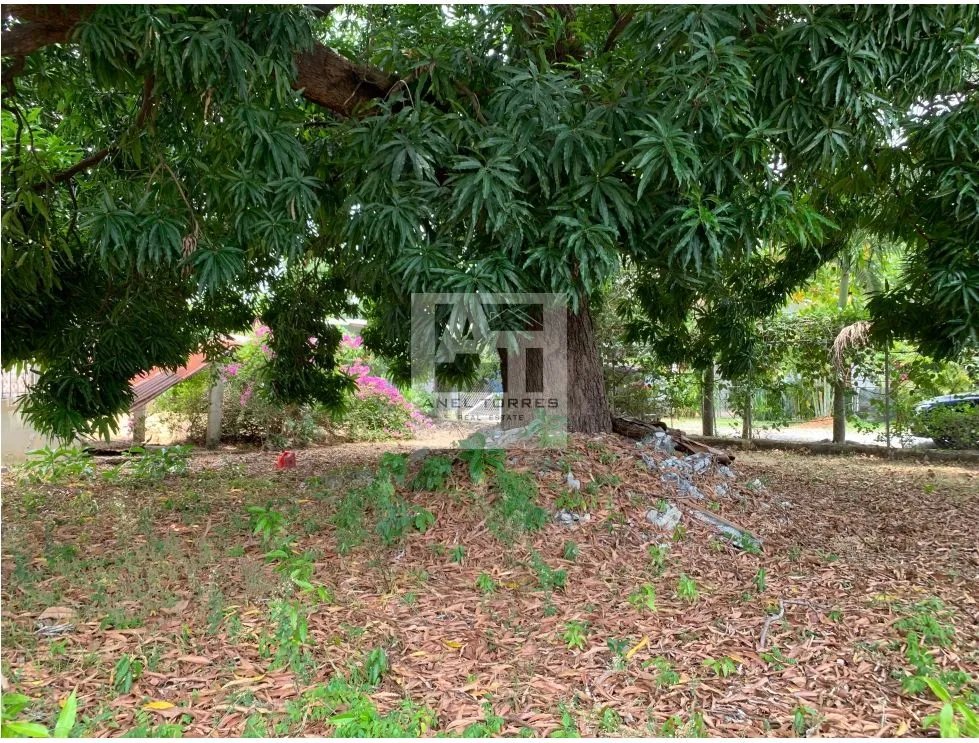 Se Vende Terreno en Victoriano Lorenzo Bejuco.