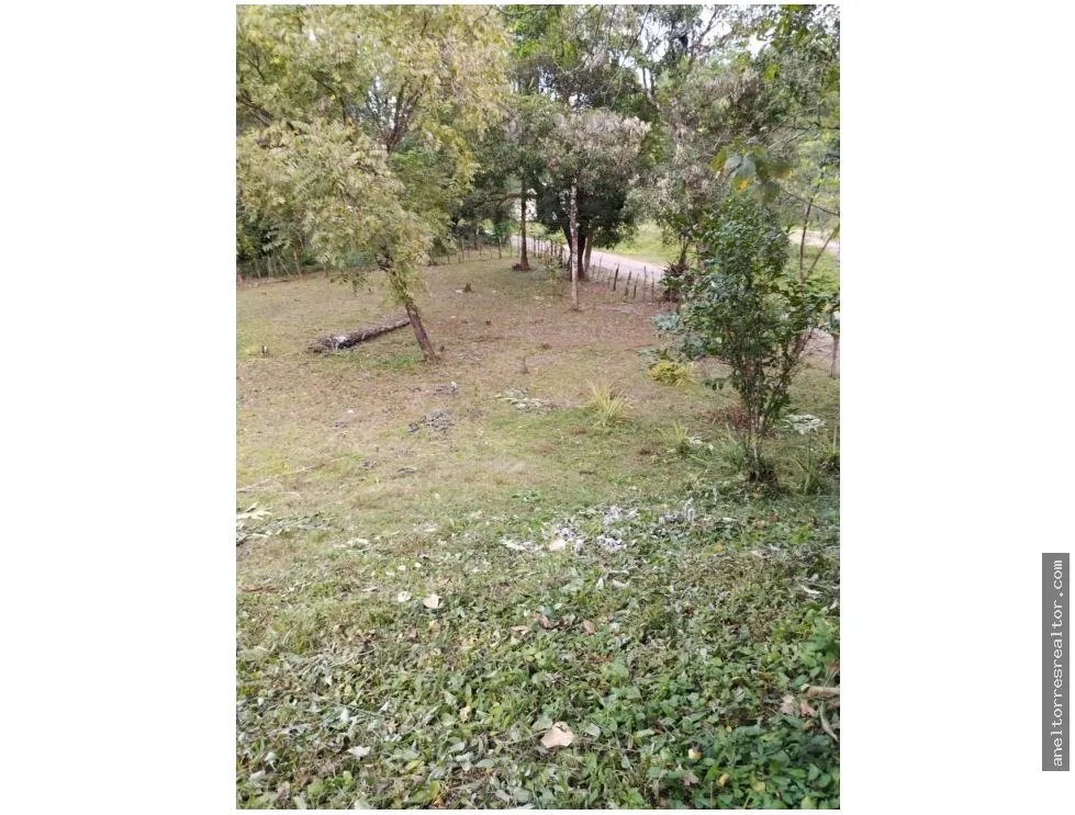 Se vende terreno en Rio de Jesús, Veraguas