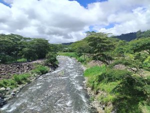 143125 - Boquete - lots