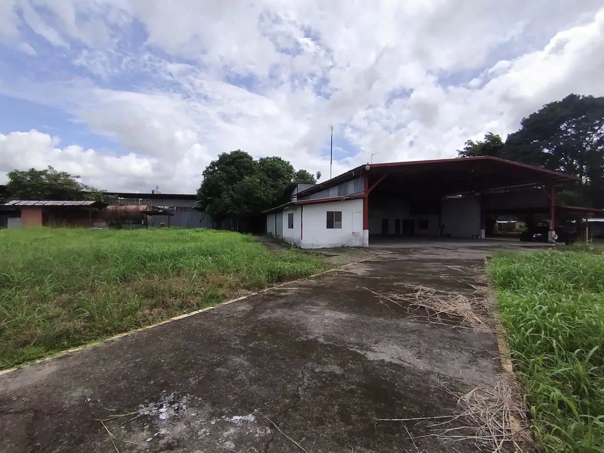 Galera en Venta en Panamá | David, Chiriquí Propiedad Industrial de 1 Hectárea