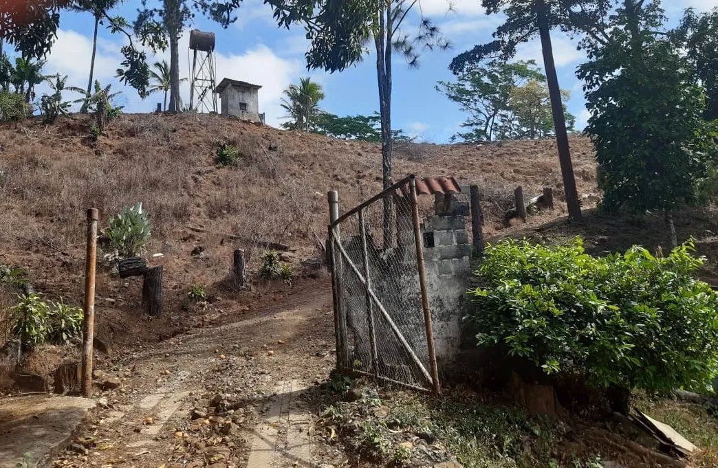 71 hectáreas de terreno de montaña con río | Cerro Azul | $1/m²