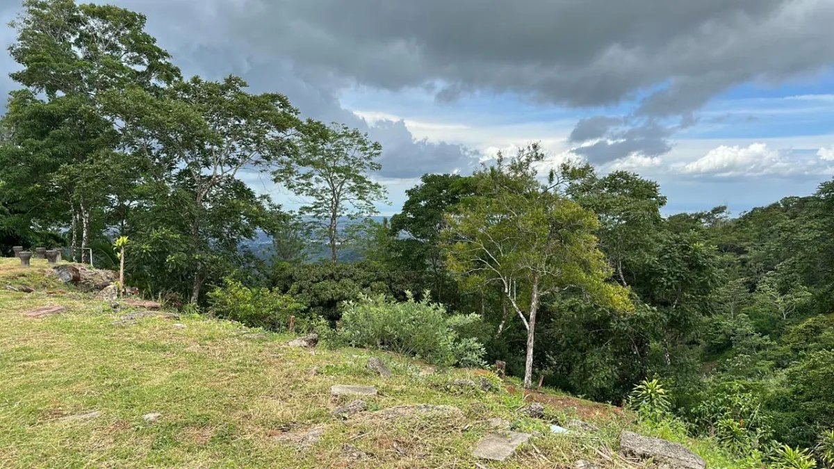 71 Hectares in Cerro Azul with River & Road Access | $1/m²