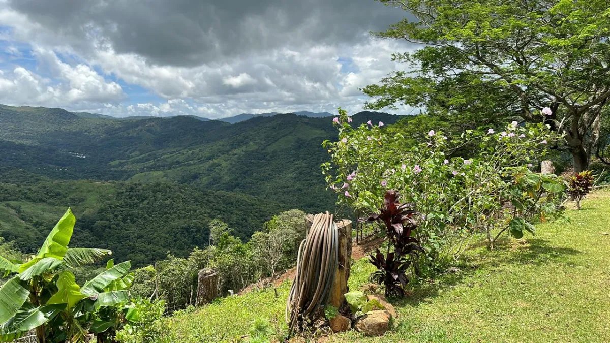 71 Hectares in Cerro Azul with River & Road Access | $1/m²