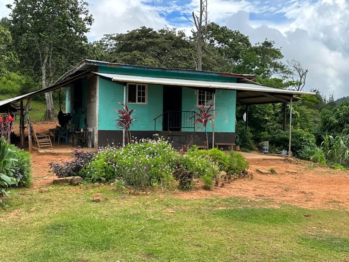 71 Hectares in Cerro Azul with River & Road Access | $1/m²