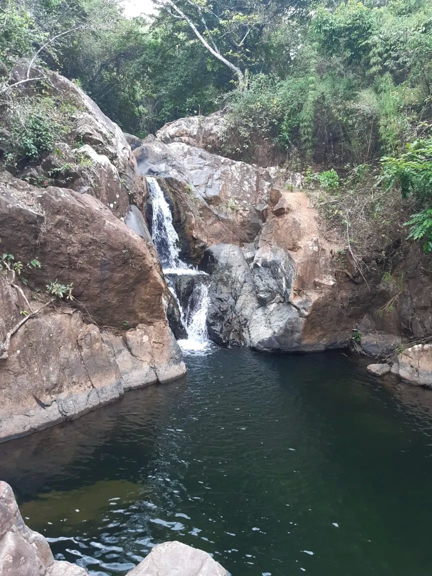 71 Hectares in Cerro Azul with River & Road Access | $1/m²