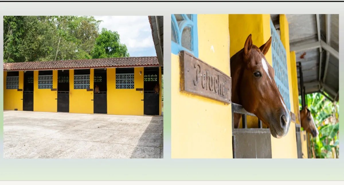 Exclusive Country Estate for Sale  Leisure and Recreation Property in Colón