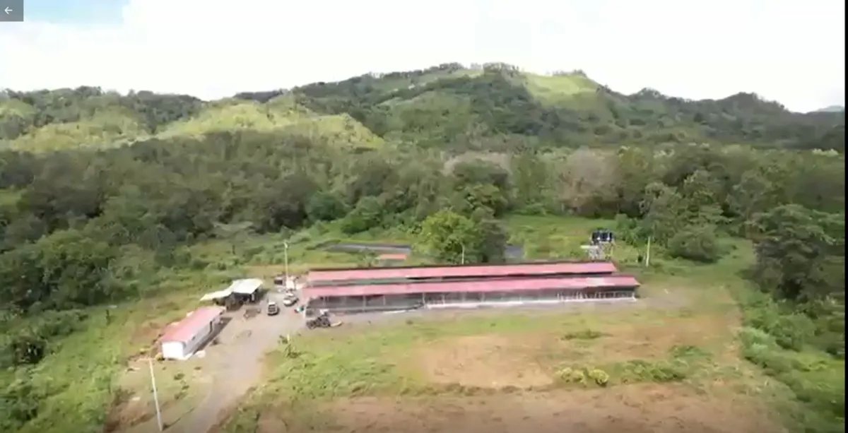 ¡Gran Oportunidad de Inversión! Vendo Finca de 50 Hectáreas en Buena V...